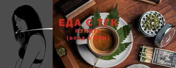 индика Краснотурьинск