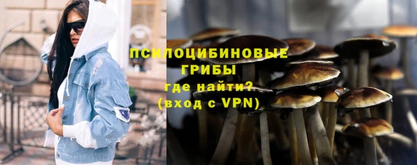 гидра Красноперекопск