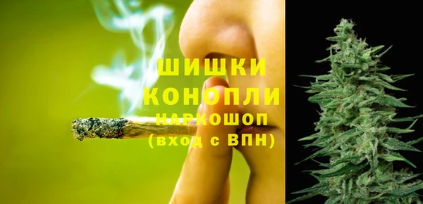 индика Краснотурьинск