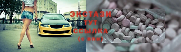 индика Краснотурьинск