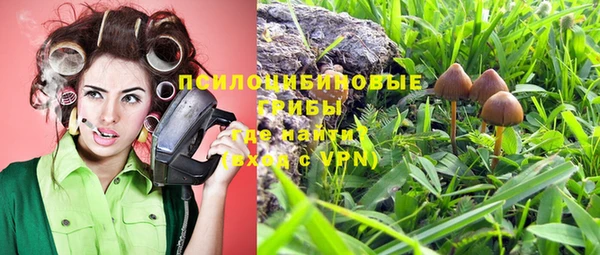 гашик Коряжма