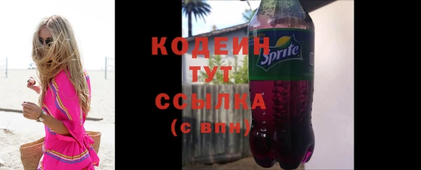индика Краснотурьинск