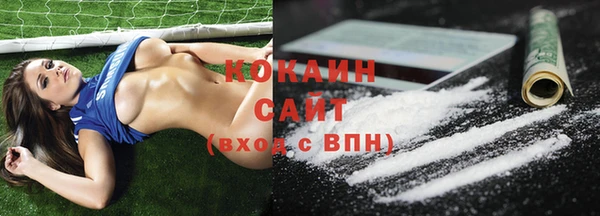 индика Краснотурьинск